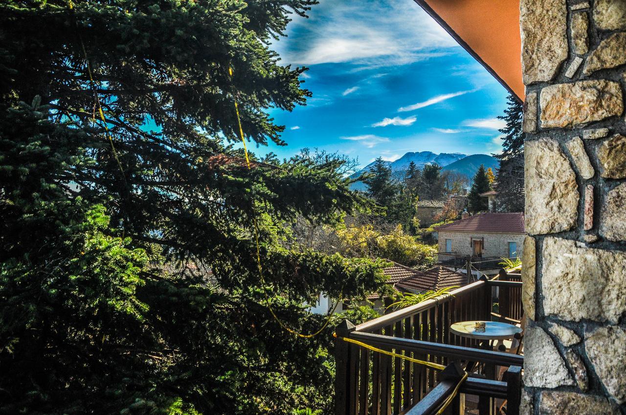 Voreio Selas Guest house Synikia Mesi Trikalon